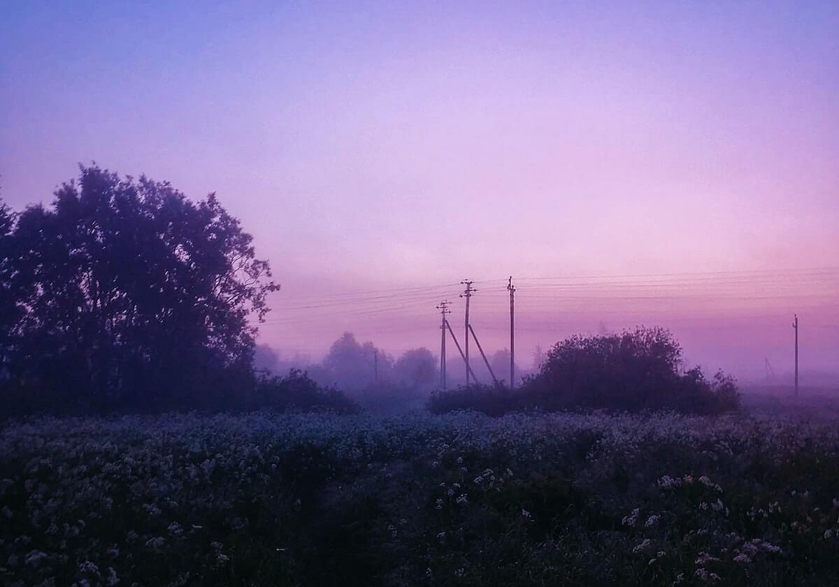 爱奇艺体育直播-赛后维尼修斯与米利唐怒追赫塔菲球员要说法，场面一度失控